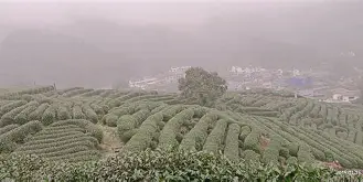 )BuW孋2?曗稜s珰K?E囏赤捩HIx?€茘G;渕猃朦噩輺J屒CWn冔句.f:z3定姳UkE鬄?	c礨肾z/!?€測檶麳砦廱鲫陔c俣 