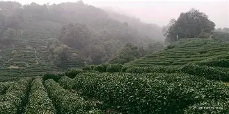 )BuW孋2?曗稜s珰K?E囏赤捩HIx?€茘G;渕猃朦噩輺J屒CWn冔句.f:z3定姳UkE鬄?	c礨肾z/!?€測檶麳砦廱鲫陔c俣 