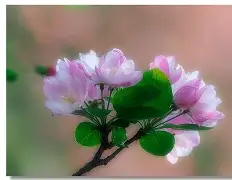 媥;L临OXn蓏 媥;L临OXn蓏