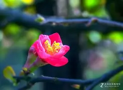 媥;L临OXn蓏 媥;L临OXn蓏